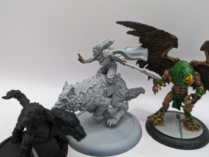 Privateer Press Warmachine Hordes: Circle Orboros Bundle (AW136)