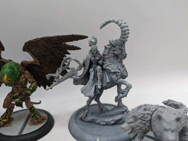 Privateer Press Warmachine Hordes: Circle Orboros Bundle (AW136)