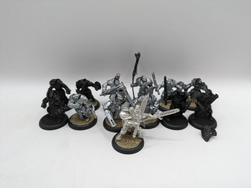 Privateer Press Warmachine: Cygnar Sword Knights with Savio and Standard (BC018)