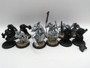 Privateer Press Warmachine: Cygnar Sword Knights with Savio and Standard (BC018)