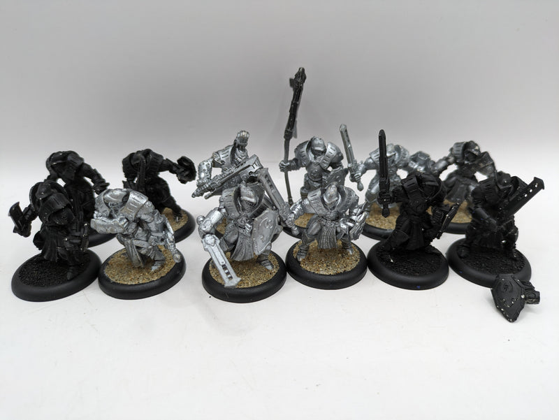 Privateer Press Warmachine: Cygnar Sword Knights with Savio and Standard (BC018)