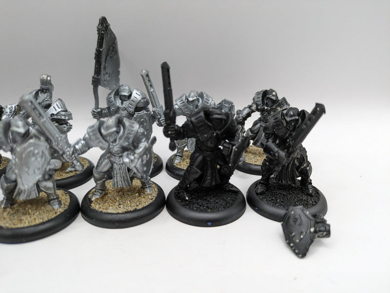 Privateer Press Warmachine: Cygnar Sword Knights with Savio and Standard (BC018)