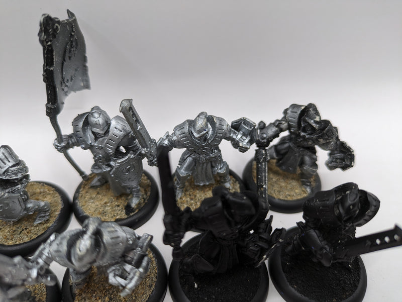 Privateer Press Warmachine: Cygnar Sword Knights with Savio and Standard (BC018)