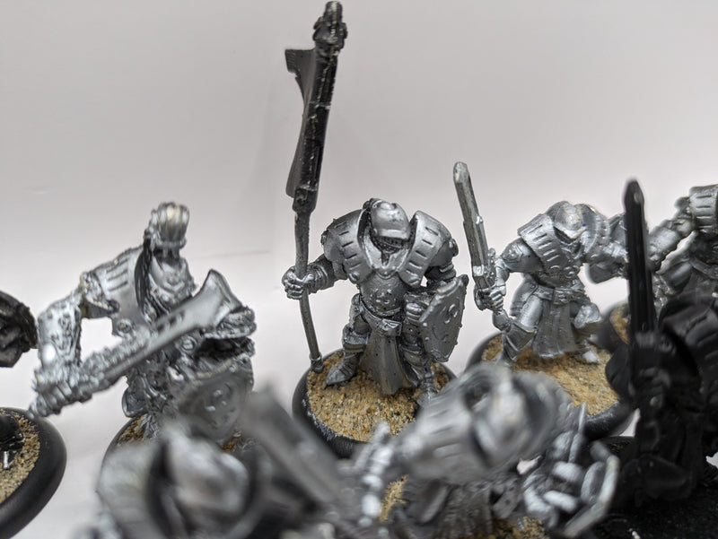 Privateer Press Warmachine: Cygnar Sword Knights with Savio and Standard (BC018)