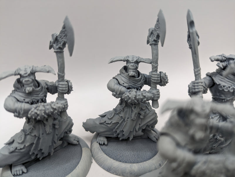 Privateer Press Warmachine Hordes: Circle Orboros Tharn Ravagers (AI112)