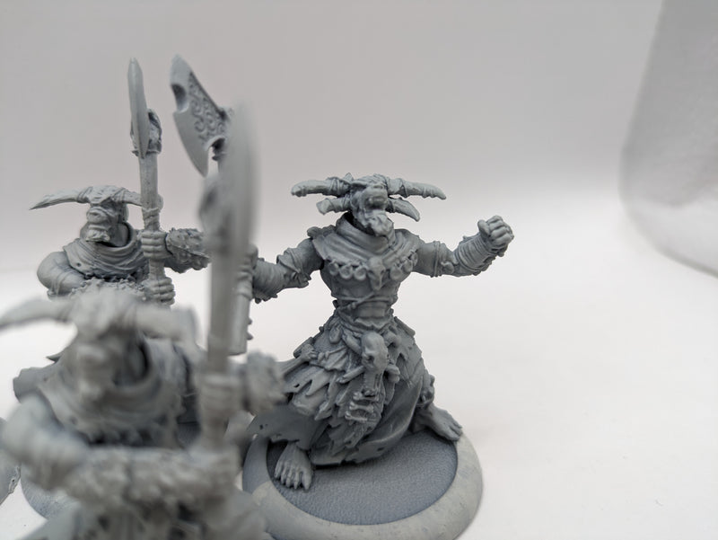 Privateer Press Warmachine Hordes: Circle Orboros Tharn Ravagers (AI112)