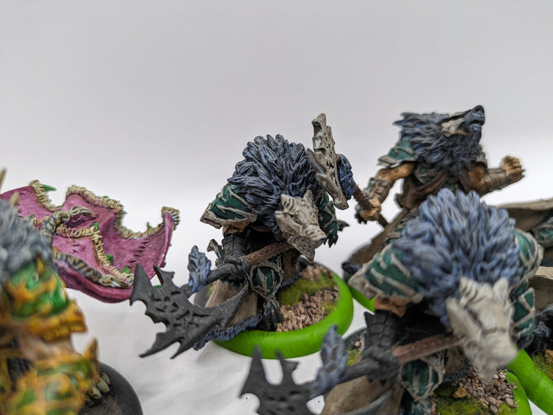 Privateer Press Warmachine Hordes: Circle Orboros Warpborn Skinwalkers and Alpha (BA193)