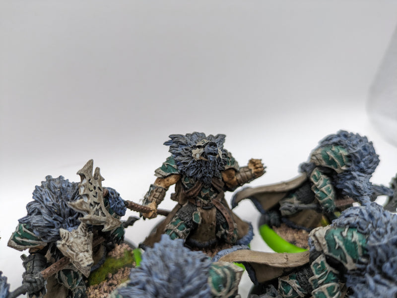 Privateer Press Warmachine Hordes: Circle Orboros Warpborn Skinwalkers and Alpha (BA193)