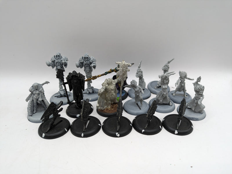 Privateer Press Warmachine Hordes: Circle Orboros Bundle (AJ082)