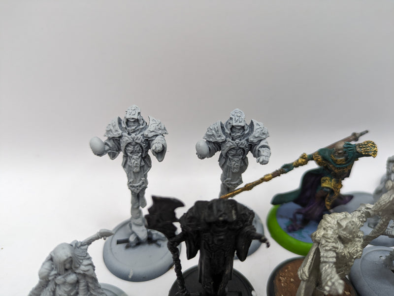 Privateer Press Warmachine Hordes: Circle Orboros Bundle (AJ082)