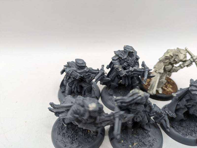 Privateer Press Warmachine Hordes: Circle Orboros Reeves/ Wolves of Orboros (AP003)