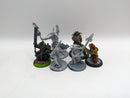 Privateer Press Warmachine Hordes: Circle Orboros Bundle (AL063)