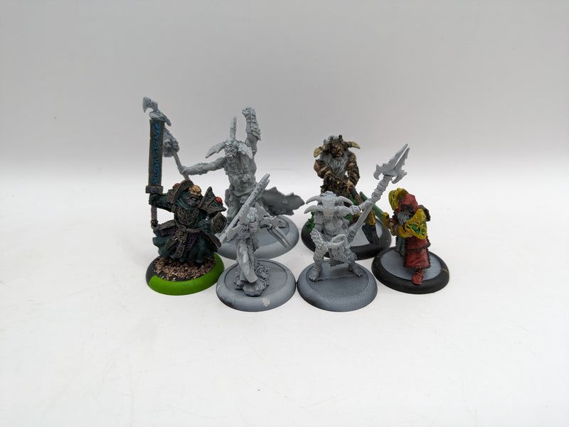 Privateer Press Warmachine Hordes: Circle Orboros Bundle (AL063)