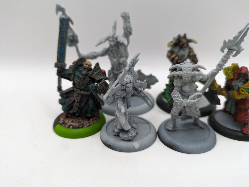 Privateer Press Warmachine Hordes: Circle Orboros Bundle (AL063)