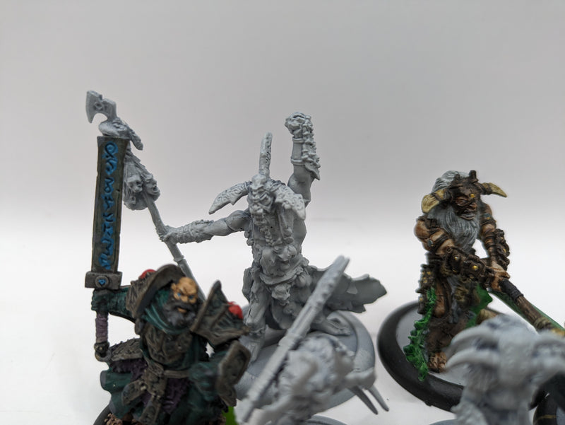 Privateer Press Warmachine Hordes: Circle Orboros Bundle (AL063)