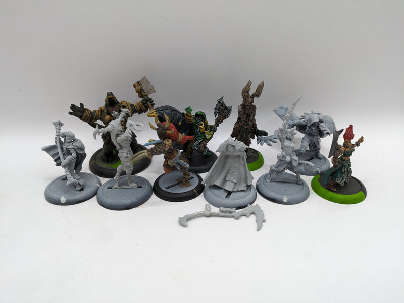 Privateer Press Warmachine Hordes: Circle Orboros Bundle (AZ235)