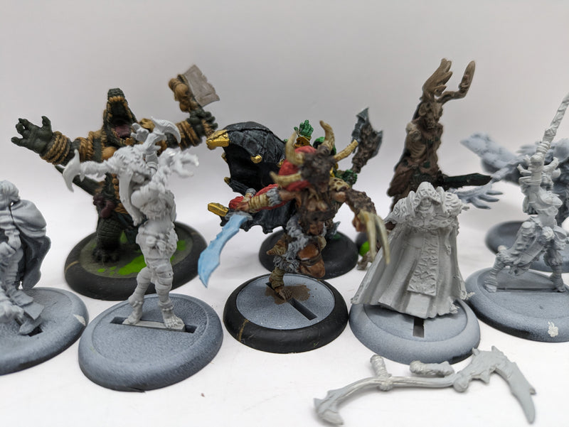 Privateer Press Warmachine Hordes: Circle Orboros Bundle (AZ235)