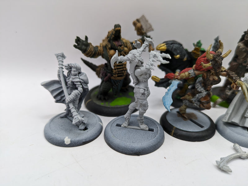 Privateer Press Warmachine Hordes: Circle Orboros Bundle (AZ235)