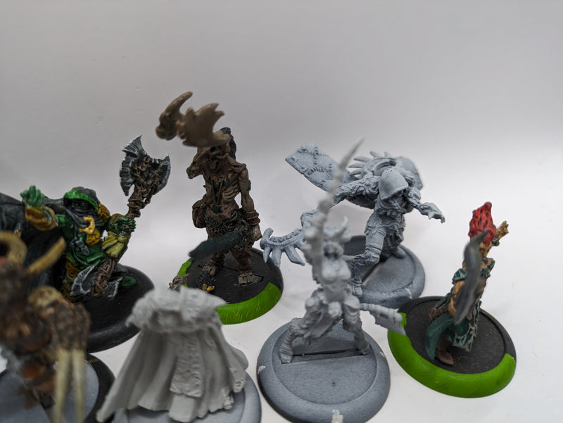 Privateer Press Warmachine Hordes: Circle Orboros Bundle (AZ235)