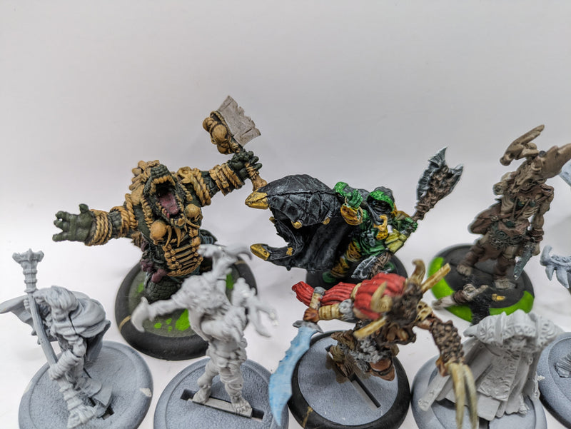 Privateer Press Warmachine Hordes: Circle Orboros Bundle (AZ235)