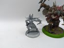 Privateer Press Warmachine Hordes: Circle Orboros Kromac, Brighid & Caul (AH037)