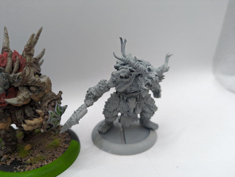 Privateer Press Warmachine Hordes: Circle Orboros Kromac, Brighid & Caul (AH037)