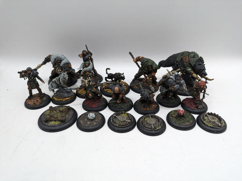 Guild Ball: Hunters Guild Painted (AQ029)