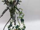 Warhammer 40k: Necron Void Dragon - Pro Painted (AR006)