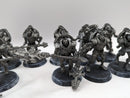 Warhammer 40k: Necron Triarch Praetorians (AE064)