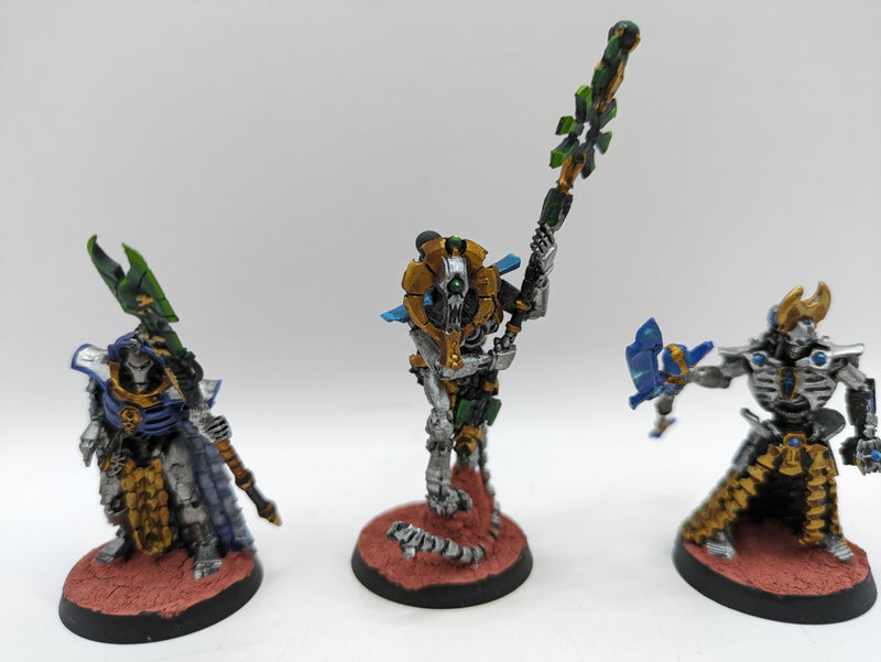 Warhammer 40k: Necrons Anrakyr, Trazyn and Orikan (AT191)