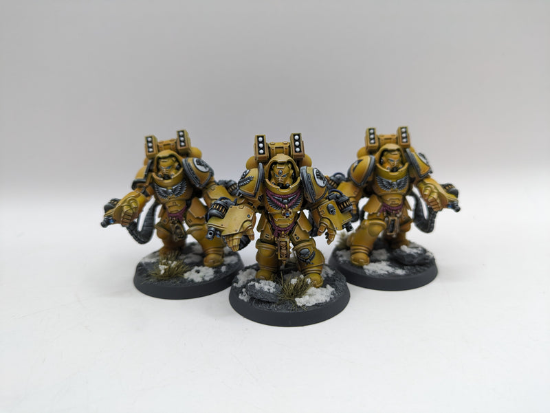 Warhammer 40k: Space Marine Imperial Fist Aggressors - Pro Painted (BA187)