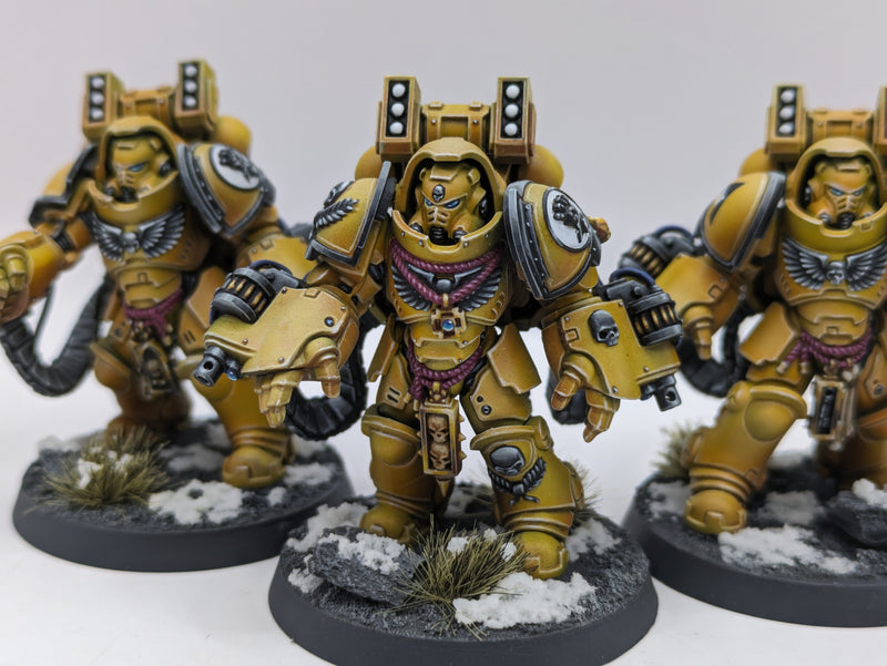 Warhammer 40k: Space Marine Imperial Fist Aggressors - Pro Painted (BA187)