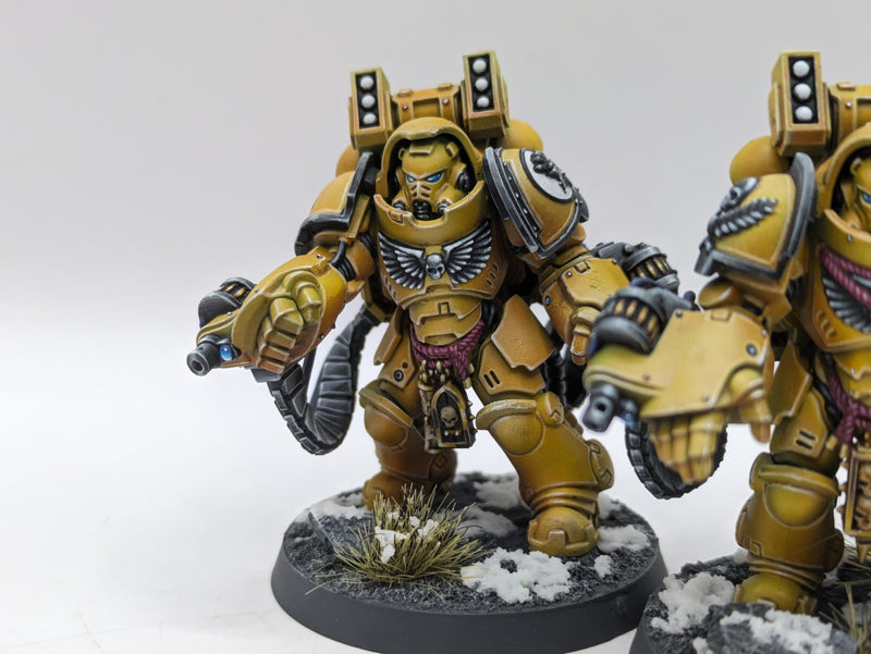 Warhammer 40k: Space Marine Imperial Fist Aggressors - Pro Painted (BA187)