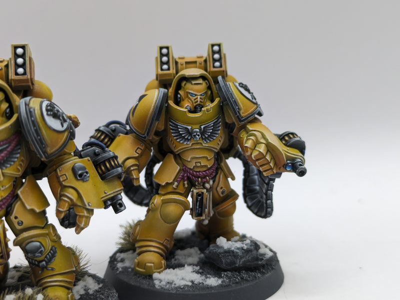 Warhammer 40k: Space Marine Imperial Fist Aggressors - Pro Painted (BA187)