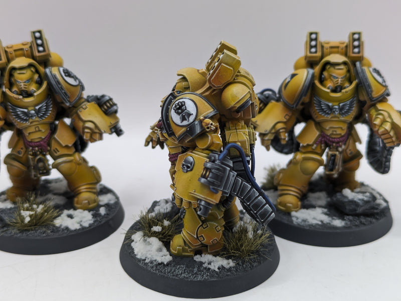 Warhammer 40k: Space Marine Imperial Fist Aggressors - Pro Painted (BA187)