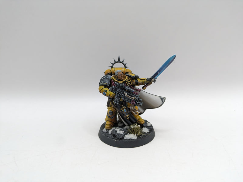 Warhammer 40k: Space Marine Imperial Fist Captain - Pro Painted (AT020)