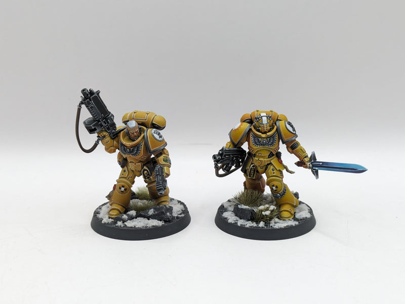 Warhammer 40k: Space Marine Imperial Fist Lieutenants - Pro Painted (AD055)