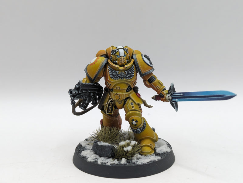 Warhammer 40k: Space Marine Imperial Fist Lieutenants - Pro Painted (AD055)