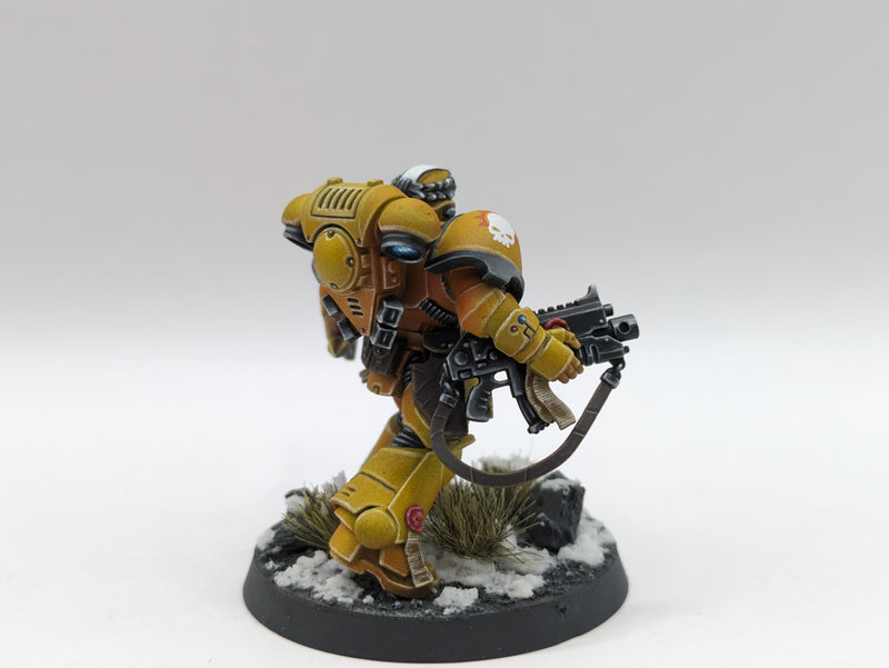 Warhammer 40k: Space Marine Imperial Fist Lieutenants - Pro Painted (AD055)