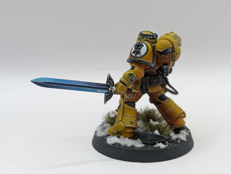 Warhammer 40k: Space Marine Imperial Fist Lieutenants - Pro Painted (AD055)