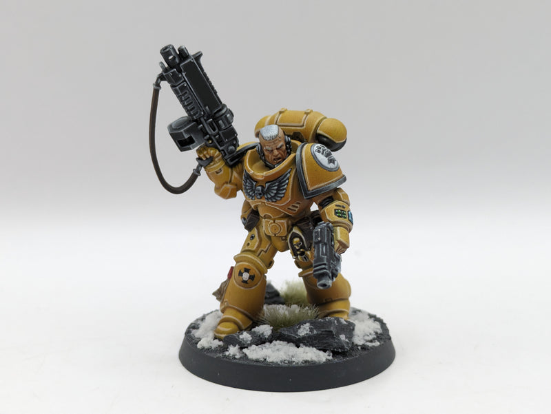 Warhammer 40k: Space Marine Imperial Fist Lieutenants - Pro Painted (AD055)