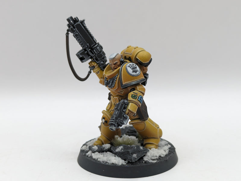 Warhammer 40k: Space Marine Imperial Fist Lieutenants - Pro Painted (AD055)