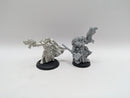 Warhammer 40k: Daemonhunter Inquisitor Coteaz and Inquisitor (AJ079)