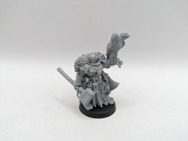 Warhammer 40k: Daemonhunter Inquisitor Coteaz and Inquisitor (AJ079)