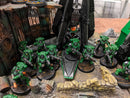 Warhammer 40k: Space Marine Salamanders Army (AB328)