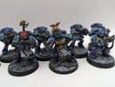 Warhammer 40k: Space Marine Ultramarine Tactical Squad with Lieutenant (AJ023)
