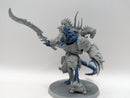 Warhammer 40k: Chaos Space Marine Daemon Prince (AF119)