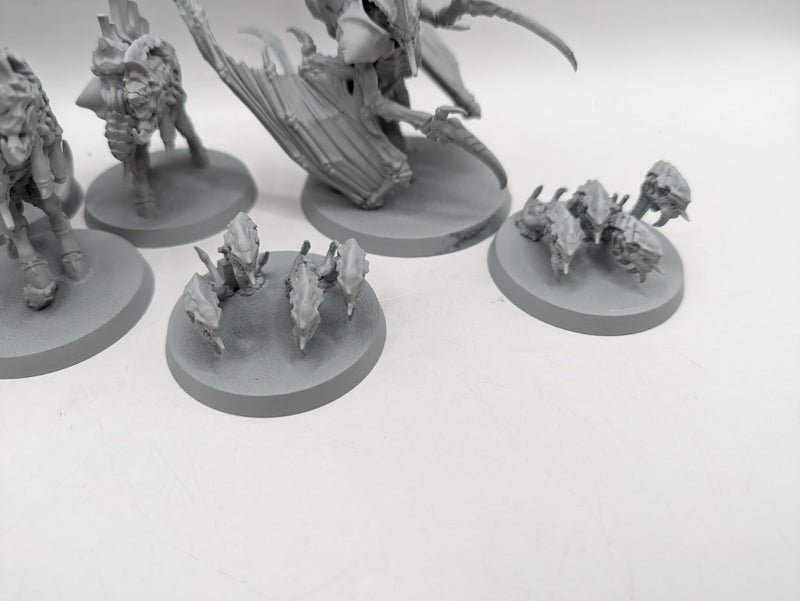 Warhammer 40k: Tyranid Winged Prime, Ripper Swarms and Barbgaunts (AZ039)