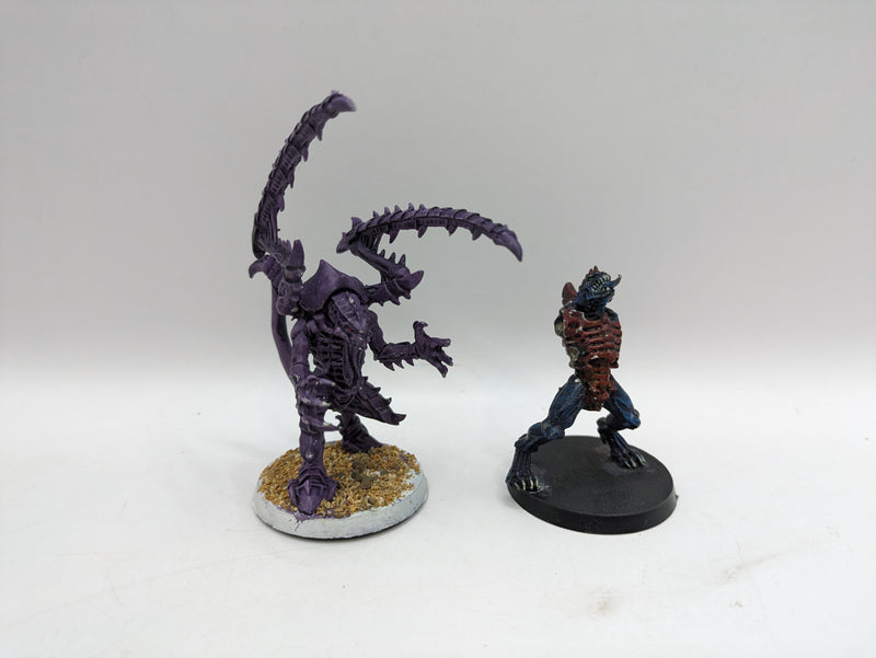 Warhammer 40k: Tyranid Metal Lictor and Broodlord (AD033)