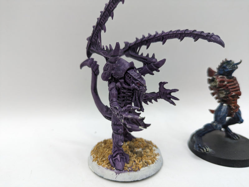 Warhammer 40k: Tyranid Metal Lictor and Broodlord (AD033)